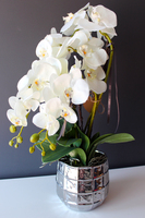 sztuczny storczyk Pandora w srebrnej donicy, wys.63cm