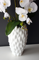 duży storczyk Diana w oryginalnej donicy Dalio, wys.80cm