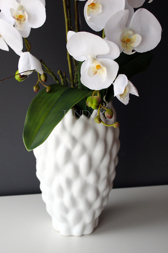 duży storczyk Diana w oryginalnej donicy Dalio, wys.80cm