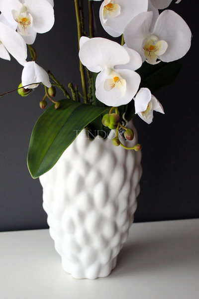 duży storczyk Diana w oryginalnej donicy Dalio, wys.80cm