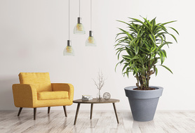 Grande donica jasny marmurek, 88x75cm