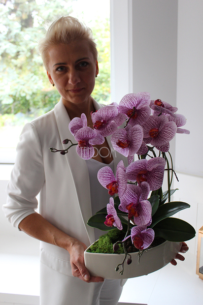 Kaori, elegancki storczyk w białej misie, wys.50cm