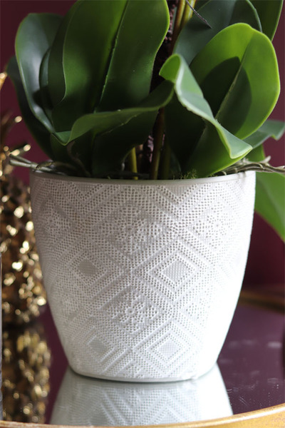 Cannata, elegancki storczyk w szarej donicy, wys.60cm