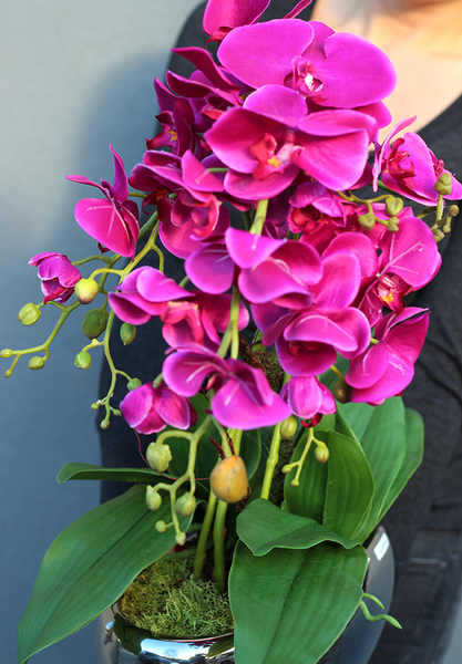 Delliana, bajeczny storczyk w kolorze fuksji w lustrzanej donicy, wys.58cm