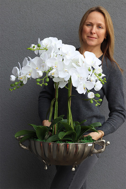 ekskluzywny storczyk Luksus Biel w metalowej donicy, wys.65cm