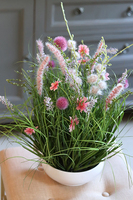 Salvatore Pink, wiosenna kompozycja traw i polnych kwiatów, wys.50cm