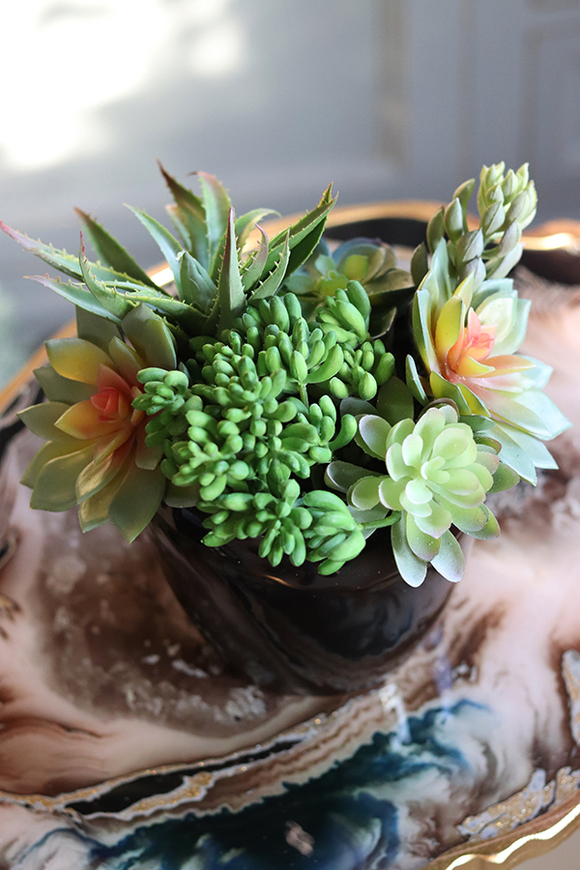 Terona, nowoczesna kompozycja z sukulentami, wys.24cm