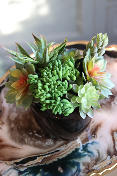 Terona, nowoczesna kompozycja z sukulentami, wys.24cm 