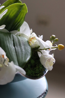 Dekoria White Apartment, sztuczny storczyk w metalowej paterze, wym.24x42cm