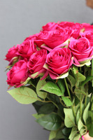 bukiet 25 fuksjowych róż, Fuksjanna, dł.60cm 