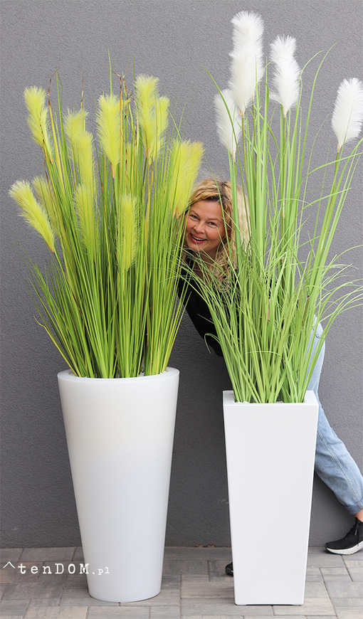 Dolomita Light, trawa z kłosami w podświetlanej donicy, wys.165cm