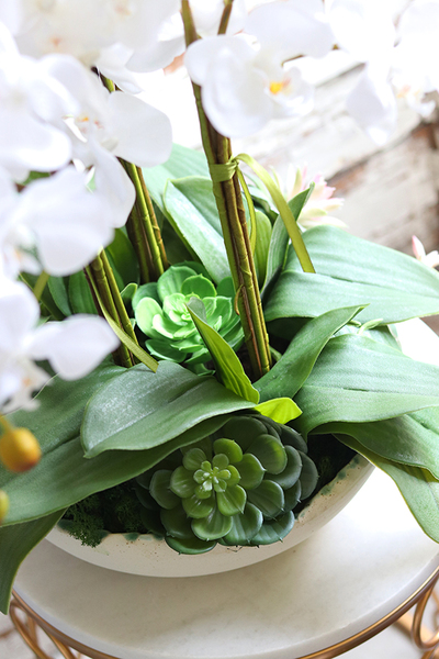 Terto, storczyk i sukulenty w dekoracyjnej misie, wys.62cm 