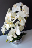 sztuczny storczyk Pandora w srebrnej donicy, wys.63cm