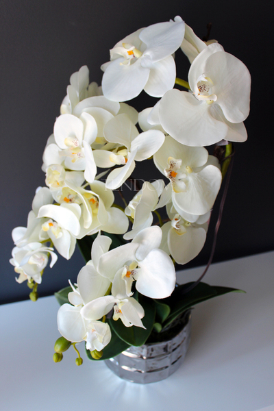 sztuczny storczyk Pandora w srebrnej donicy, wys.63cm