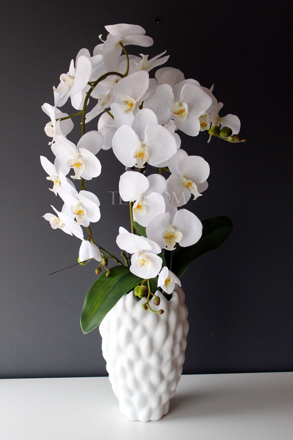 duży storczyk Diana w oryginalnej donicy Dalio, wys.80cm