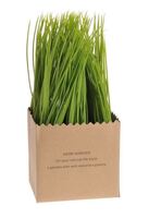 sztuczny szczypiorek Herbs Garden wys.22cm