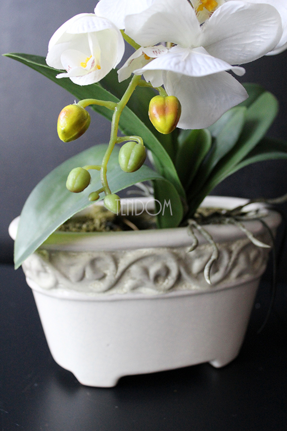 storczyk Lessie w dekoracyjnej donicy z ornamentem, wys.42cm