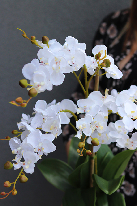 Kelano, sztuczny storczyk w niebieskiej donicy, wys.58cm