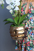 Goldano Tulluza, sztuczny storczyk w złotej donicy, wys.75cm