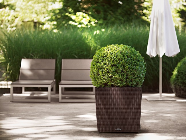 Cube Cottage, elegancka donica z nawadnianiem, brązowa, wym.50x50cm