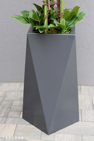 Nevis Antracyt Grande 2 storczyk w nowoczesnej donicy, wys.155cm