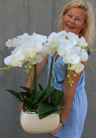 Glamour storczyk w ceramicznej donicy ecru, wys.51cm