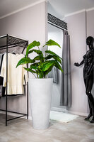 Della donica jasny marmurek 49x90cm