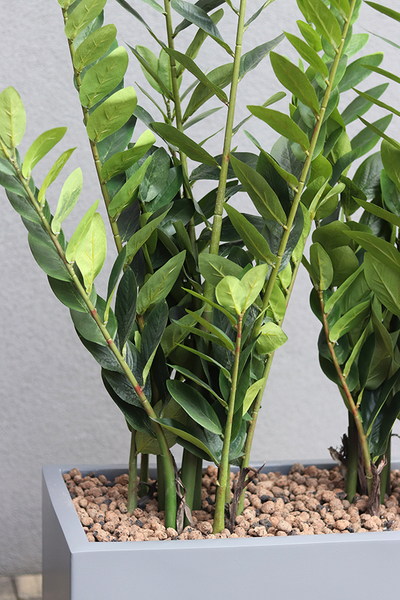 Fiberglass Zamiokulkas, sztuczne drzewka w nowoczesnej donicy, wys.135cm