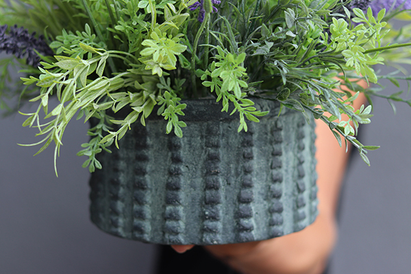 Monissa, kompozycja z wrzośców w ceramicznej donicy, wys.35cm