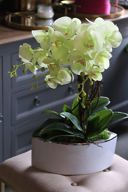 Nellona, pistacjowy storczyk w donicy white&silver, wys.62cm