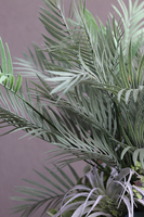 Kinemo, nowoczesna dekoracja w donicy Siena, wym.80x78x65cm