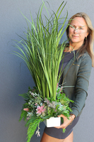 Delicato, trawa sztuczna & sukulenty w podłużnej donicy, wys.115cm