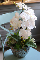 Kellano Hera, biały storczyk w srebrnej donicy, wys.58cm 