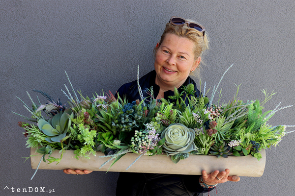 kompozycja sukulenty w długiej donicy, Modenato, dł.90cm 