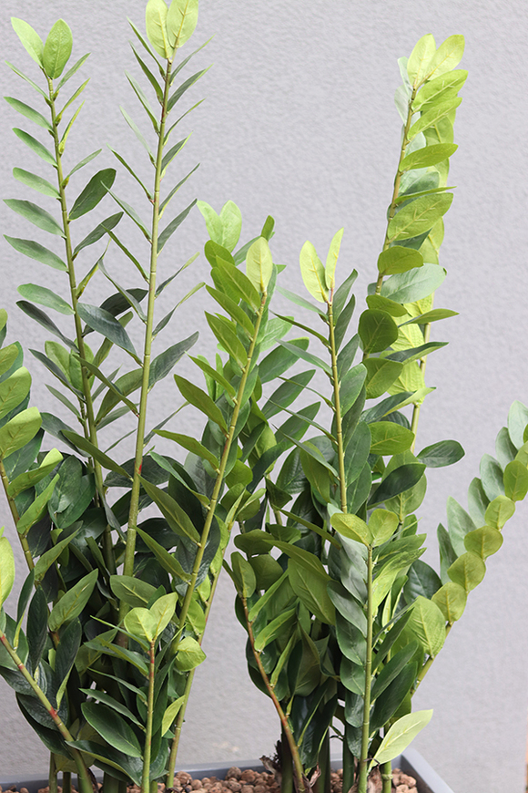 Fiberglass Zamiokulkas, sztuczne drzewka w nowoczesnej donicy, wys.135cm