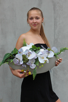 Deko Storczyk Grey kompozycja kwiatowa w podłużnym naczyniu - łódce, dł.70cm