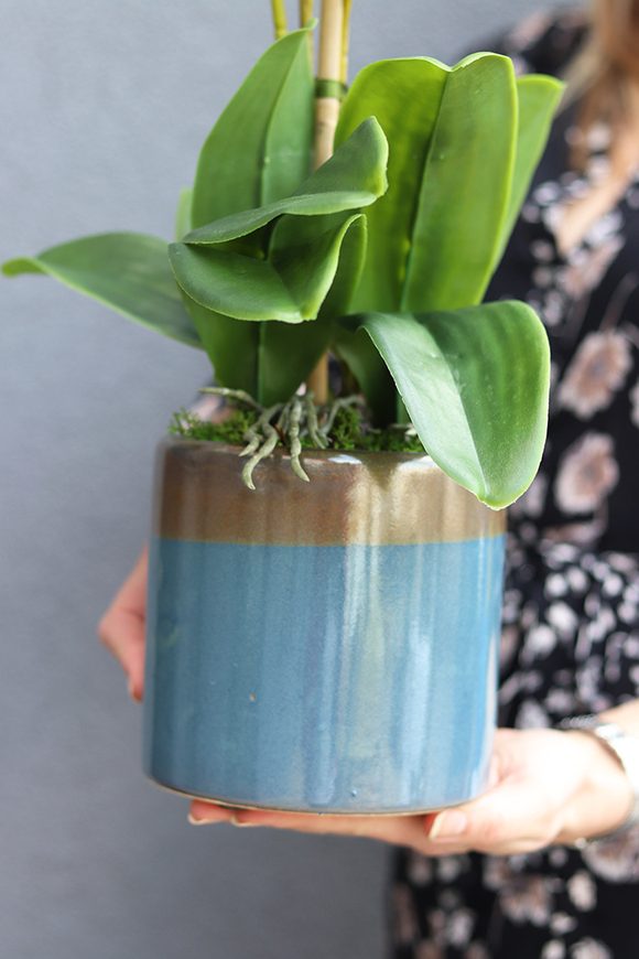 Kelano, sztuczny storczyk w niebieskiej donicy, wys.58cm