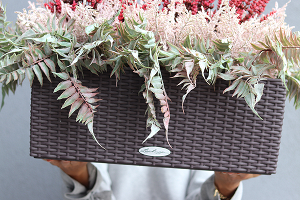 Lechuza Getia, kompozycja kwiatowa w wysokiej jakości donicy - skrzynce, wym.65x40x40cm