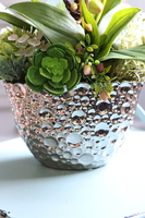 Kellano Hera, biały storczyk w srebrnej donicy, wys.58cm 