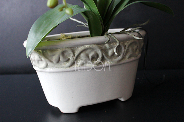 storczyk Lessie w dekoracyjnej donicy z ornamentem, wys.42cm