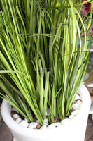 kompozycja w podświetlanej donicy z trawami Simple Grass, wys. 190cm