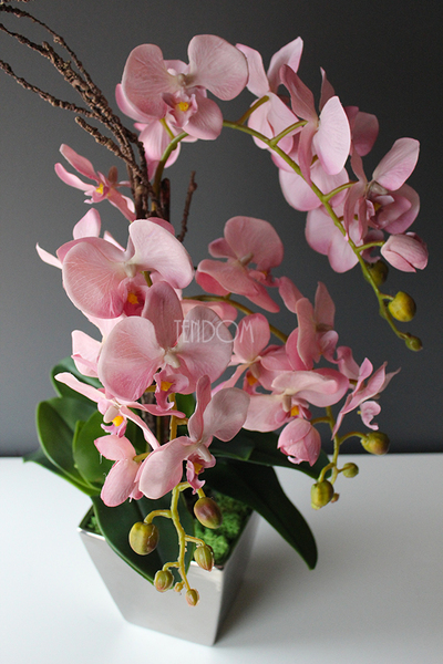 Jukatan, zjawiskowy różowy storczyk w srebrnym naczyniu, wys.60cm