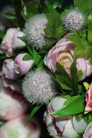 elegancki wiosenny wianek Rosa Scharon, śr.35cm