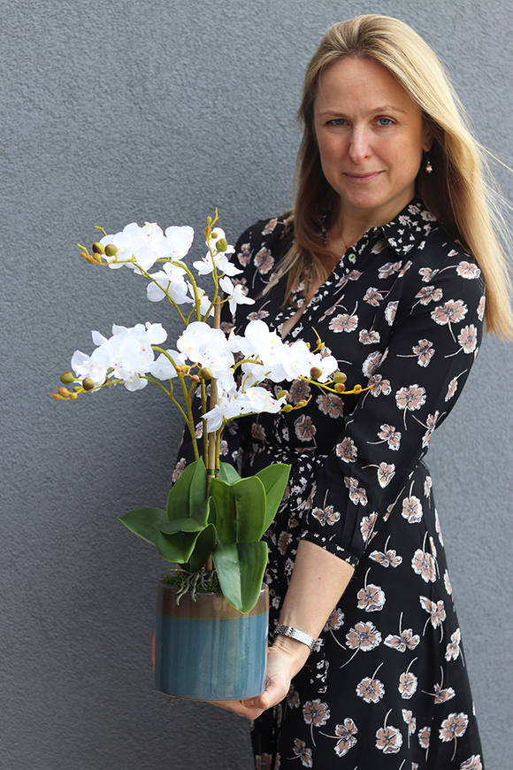 Kelano, sztuczny storczyk w niebieskiej donicy, wys.58cm