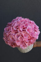 Cleo, kosz z różowymi hortensjami, wym.32x35cm