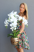 Goldano Tulluza, sztuczny storczyk w złotej donicy, wys.75cm