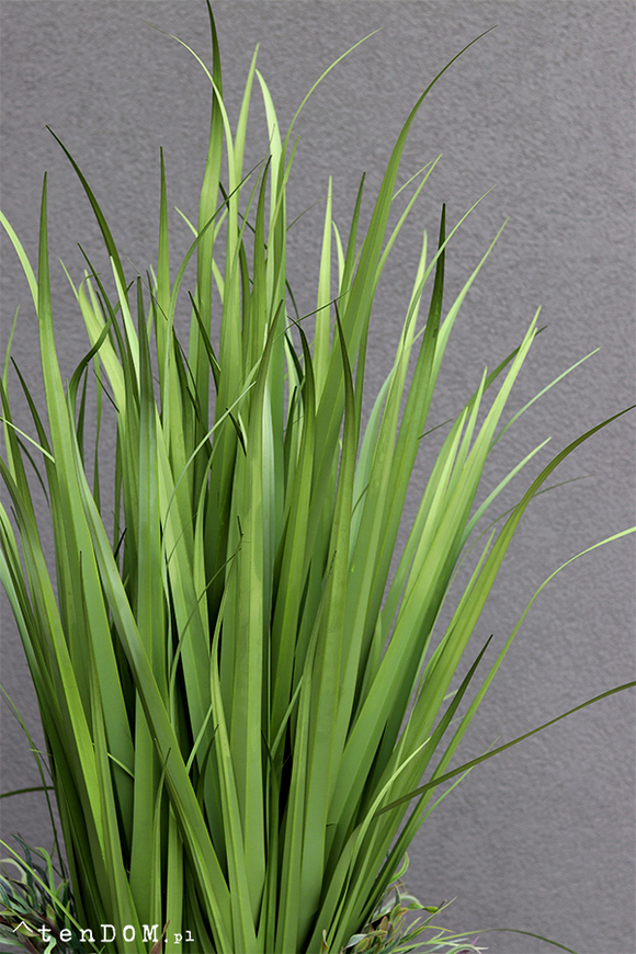 kompozycja Nevis Design 2, Trawy & Sukulenty w szarej donicy, wys.175cm