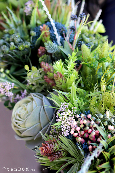 kompozycja sukulenty w długiej donicy, Modenato, dł.90cm 