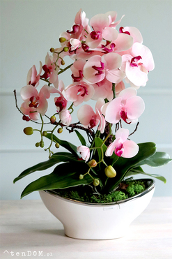 efektowny sztuczny storczyk Malika Pink 2, wys.60cm 