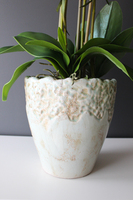 Malezja storczyk w jasno turkusowej donicy wys.83cm